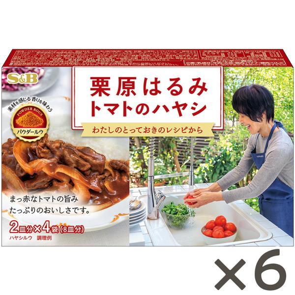 栗原はるみ トマトのハヤシ 96g 6個セット 栗原はるみ 共同開発 ハヤシ ルウ ルー パウダールウ 丁寧 仕立 トマトソース ブイヨン バター 赤ワイン