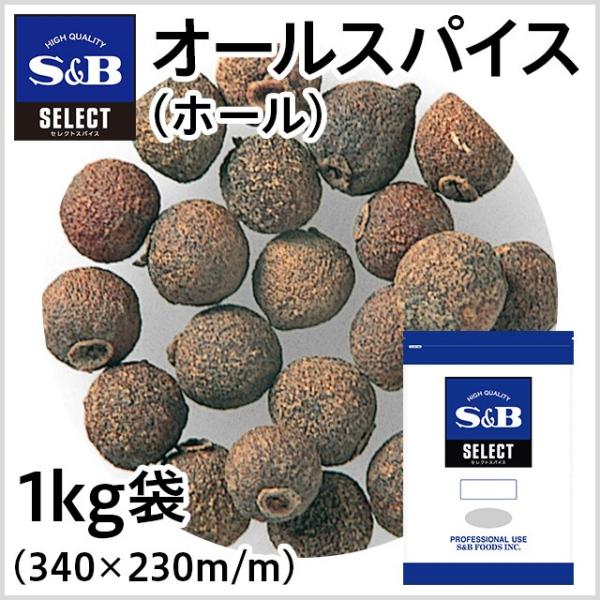 ZNg I[XpCX z[ 1kg Ɩp XpCX J[ p  GXr[Hi