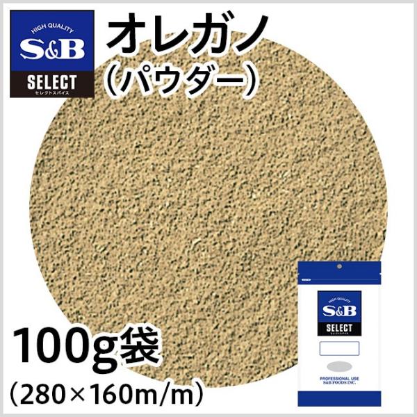 ZNg IKm pE_[ 100g Ɩp n[u g}g p GXr[Hi