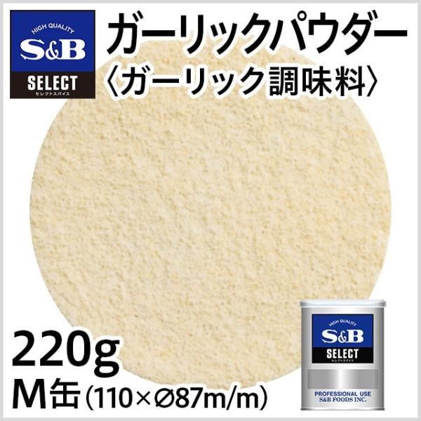 ZNg K[bNpE_[K[bN M 220g Ɩp pɂɂ XpCX GXr[Hi