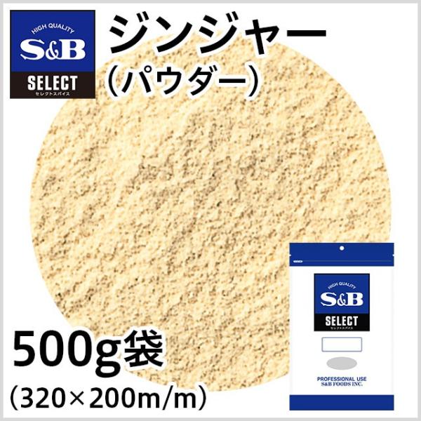 ZNg WW[ pE_[  500g Ɩp 傤 I VEK p GXr[Hi