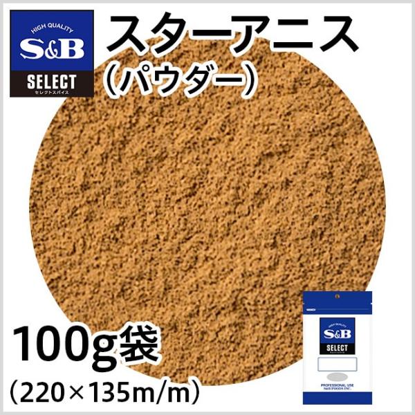 ZNg X^[AjX pE_[ 100g Ɩp XpCX ؗ p p GXr[Hi