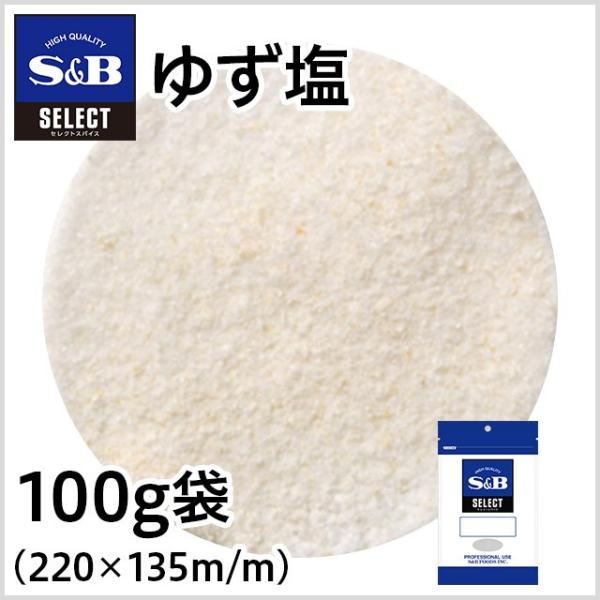 ZNg 䂸 100g Ɩp VՂ Mq e GXr[Hi
