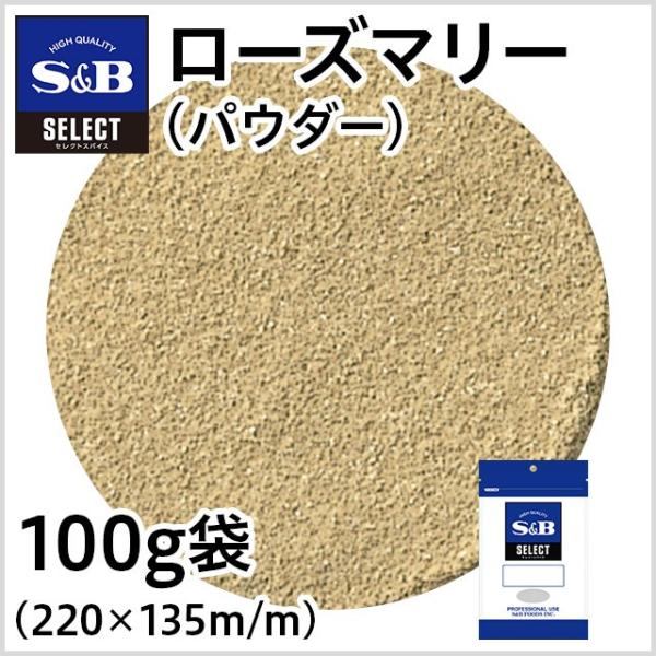 ZNg [Y}[ pE_[ 100g Ɩp XpCX n[u hC e  GXr[Hi