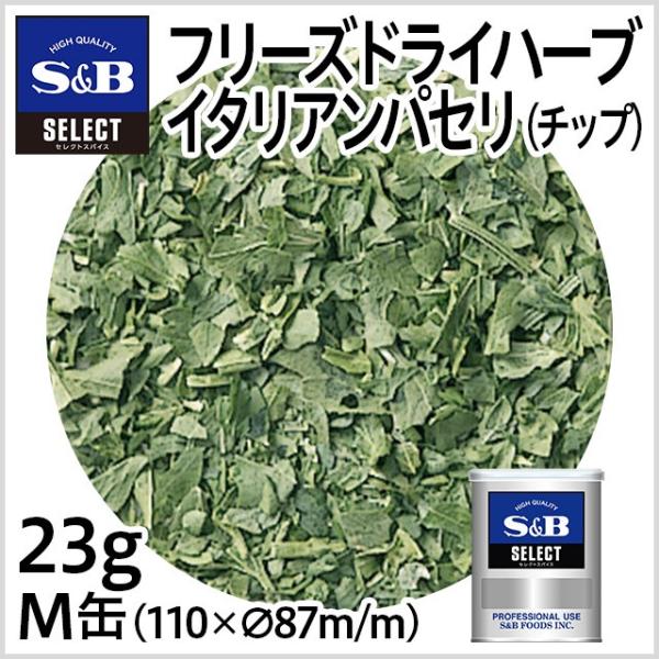 ZNg FDC^ApZ `bv 23g Ɩp XpCX n[u e t[YhC Fǂ GXr[Hi