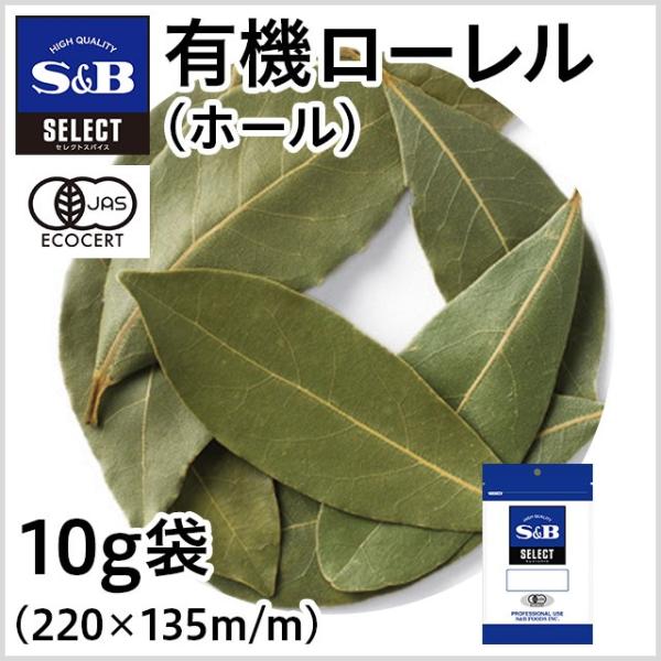 ZNg L@[ ܓ z[ 10g Ɩp XpCX n[u ύݗ J[ e hC L@JAS I[KjbN GXr[Hi