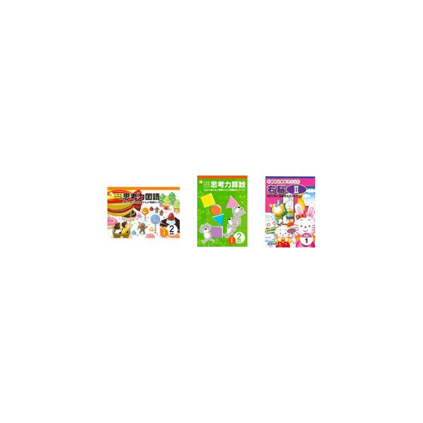 七田式教材（しちだ）小学生プリント2年生 3科目（思考力国語
