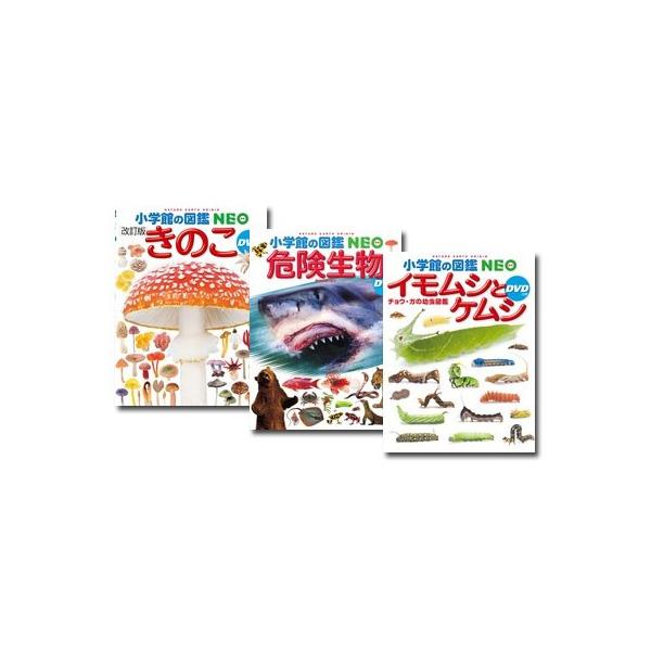 海外キノコ関係書籍　6冊セット 31qhOXE3k6L._UF350,350_QL50_.jpg
