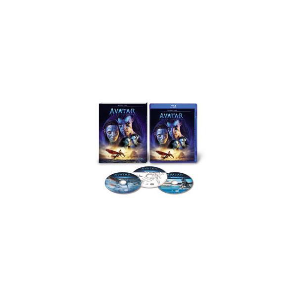 未来を拓くための戦いが、始まる――。 映画史を変えた、人類史上最高峰の映画シリーズ。故郷となった神秘の星パンドラでの壮絶な戦いが心揺さぶる感動を呼ぶ、ジェームズ・キャメロン渾身のSFスペクタクル超大作がブルーレイ＋DVDで登場！【『ブルーレ...