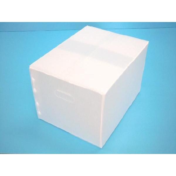 プラダン ケース A3タイプ ナチュラル 5箱セット : e-shop SUZU - 通販