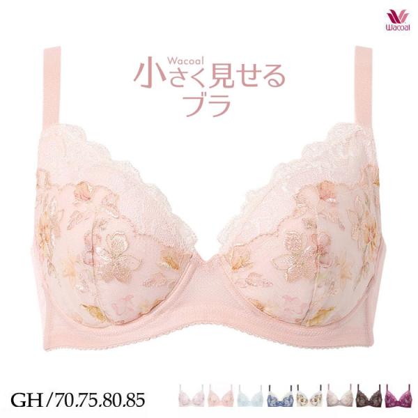 新品ワコール　サルート　大きいサイズブラジャーG80 小さく見せるブラ btj216image1.jpg