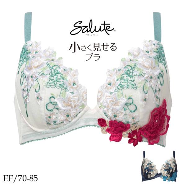 サルート（SALUTE） ワコール 16 グループ 小さく見せる ブラ