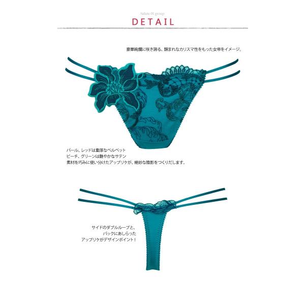 ワコール サルート セール 01 Tバックショーツ Buyee Buyee Japanese Proxy Service Buy From Japan Bot Online