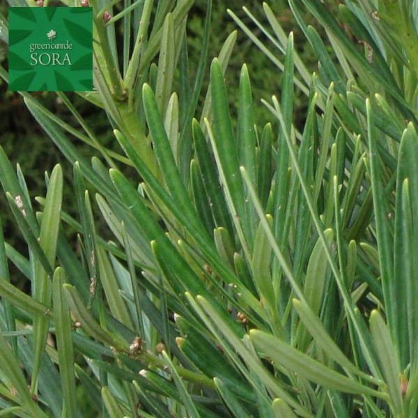 J}LH900`1100mm@3{ @A c