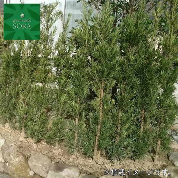 J}LH900`1100mm@3{ @A c