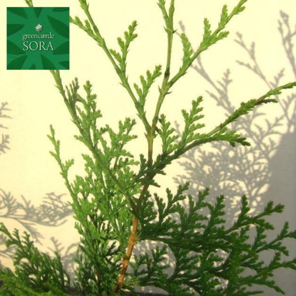 qmL H500`700mm 50{ @A c