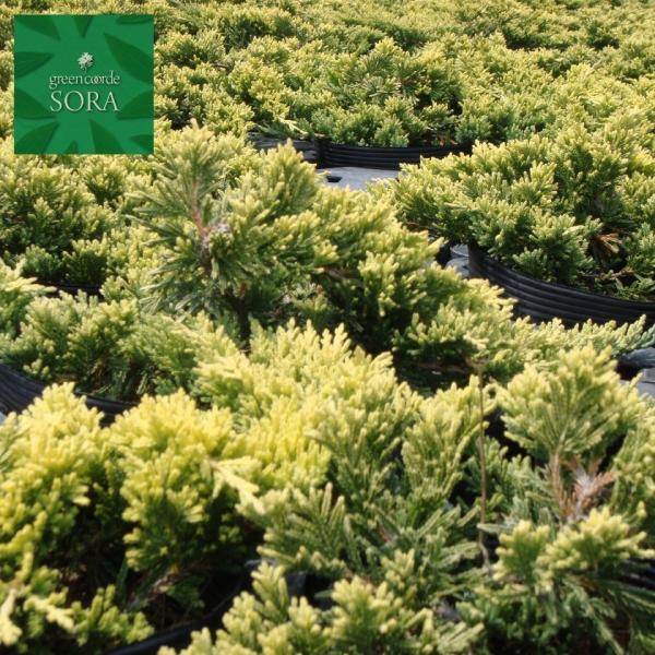 S[fJ[ybg15|bg@3{@A c