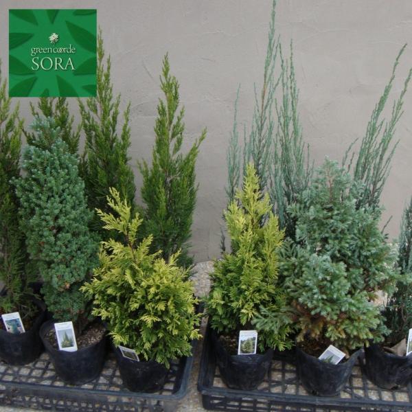 Rjt@[15|bg~bNXZbgA@5{@A c