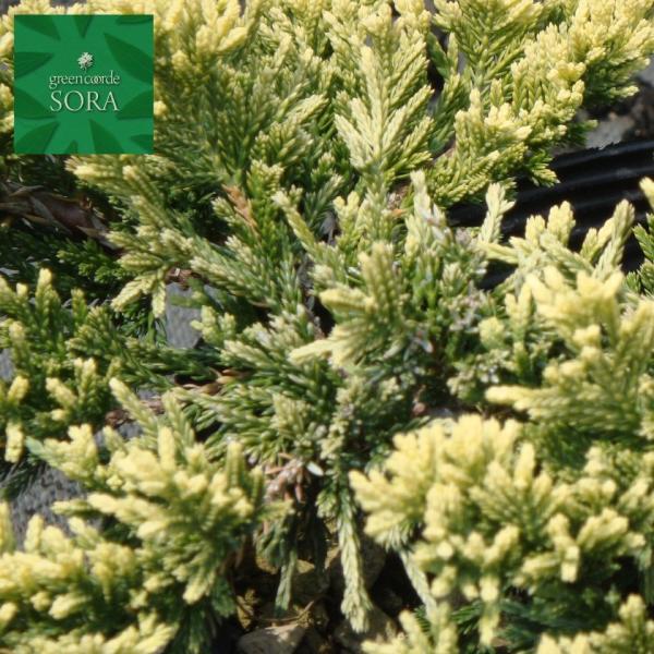 S[fJ[ybg15|bg@5{@A c