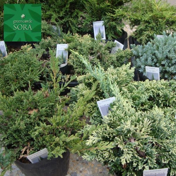 Rjt@[15|bg~bNXZbgB@5{@A c