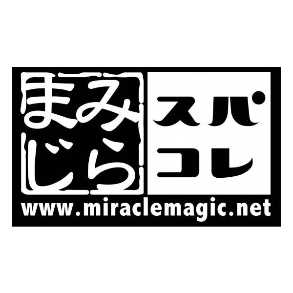 XpV SPASHAN ~}W ~}W×XpV R{JbeBOXebJ[ v~AzCg