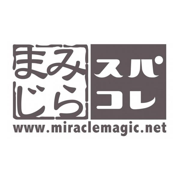 XpV SPASHAN ~}W ~}W×XpV R{JbeBOXebJ[ v~AO[