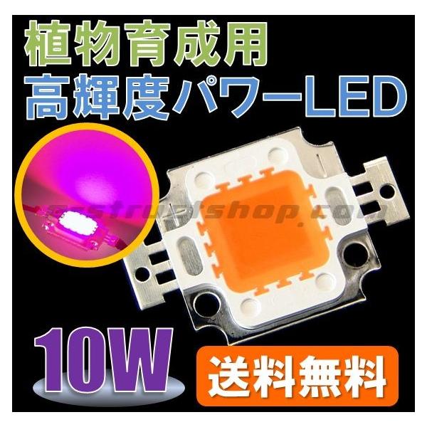 【送料無料】 植物 栽培 育成用 １０Ｗ 高輝度 パワー ＬＥＤ 大型 チップ 素子 赤 青 発光