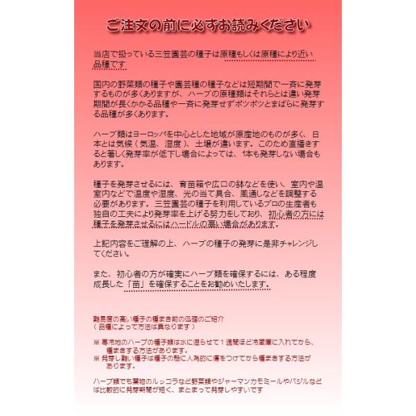 ペインテッドセージ ホワイト ハーブの種 ネコポス メール便 可 Buyee Buyee Japanese Proxy Service Buy From Japan Bot Online