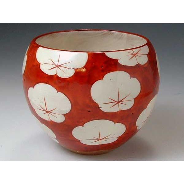 āEā@KTA136 ԏ~@ےq 5qSET