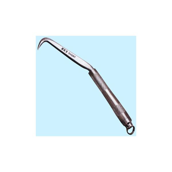 MIKI@BXnbJ[@BXRRV[gOt @ΓS،