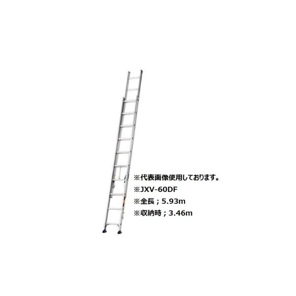 ALINCO（アルインコ） JXV-60DF 2連はしご 全長：5.93m 耐荷重100kg