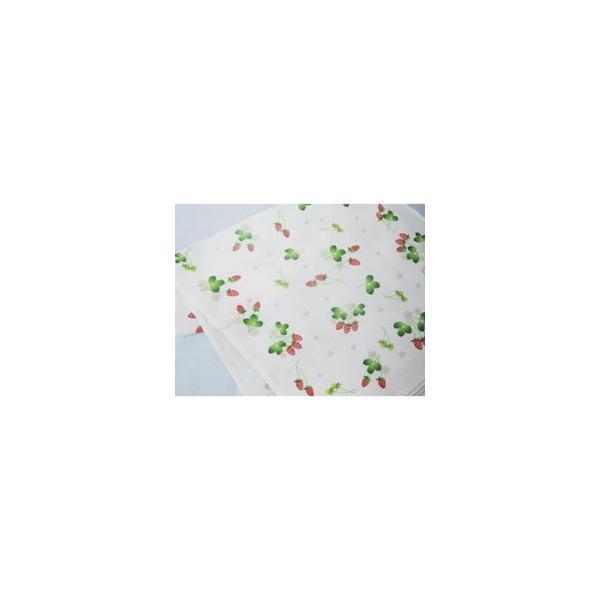 Ăʂ^I tFCX^I C`S ItzCgn {@33×100cm