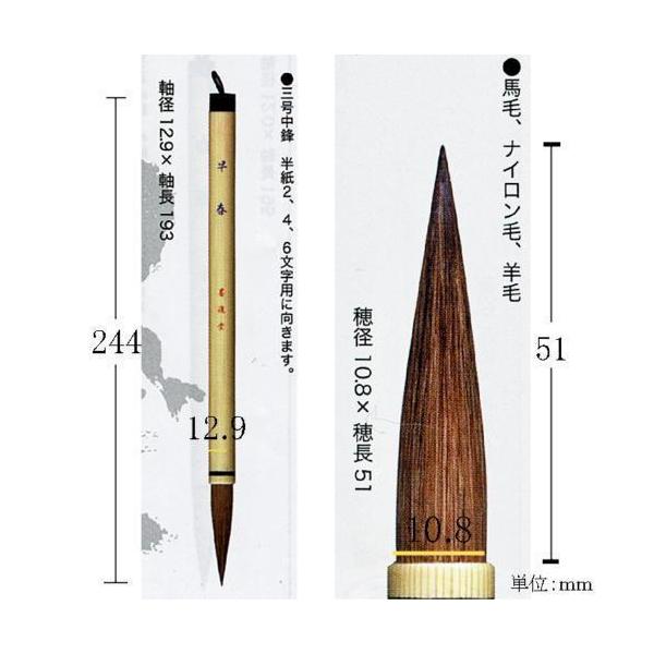 購入公式サイト 書道筆 習字 書写筆 行書 楷書 半紙４から６文字 毛筆 太筆名匠舞五番 メール便対応可 一宝堂 大筆 筆記用具 Daisenkaku Or Jp