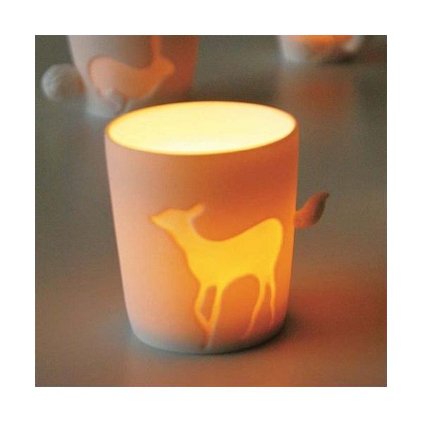 Mugtail@퐻}OJbv@RWJ