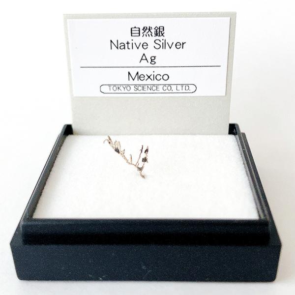 自然銀 （メキシコ） 鉱物 標本 東京サイエンス ミニ鉱物標本 ケース