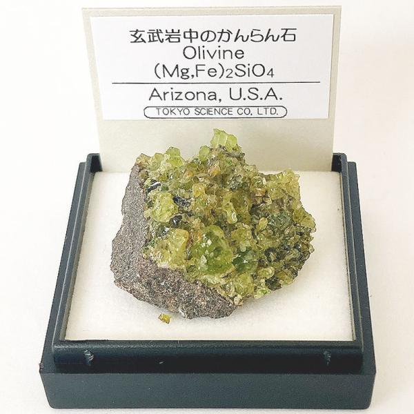 土質標本 ケース 11本付き 大分県庄内町　地質　鉱物 玄武岩中のかんらん石 （アメリカ、アリゾナ州） 鉱物 標本 東京