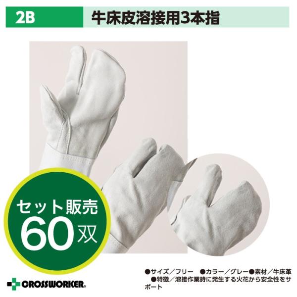 60o   v 3{w 2B xmO[u KXnf nڗp 