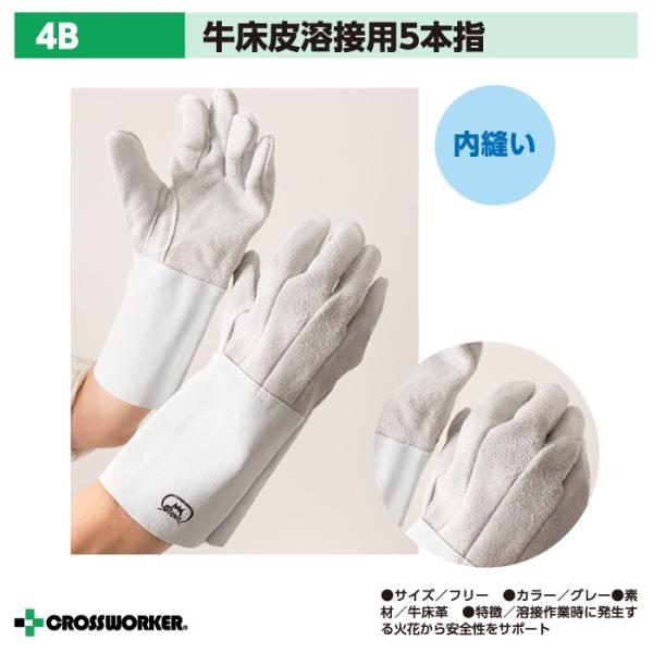  v Ɨp 5{w nڗp 4B xmO[u KXnf nڗp ƒ ƕ ΂g Lv 