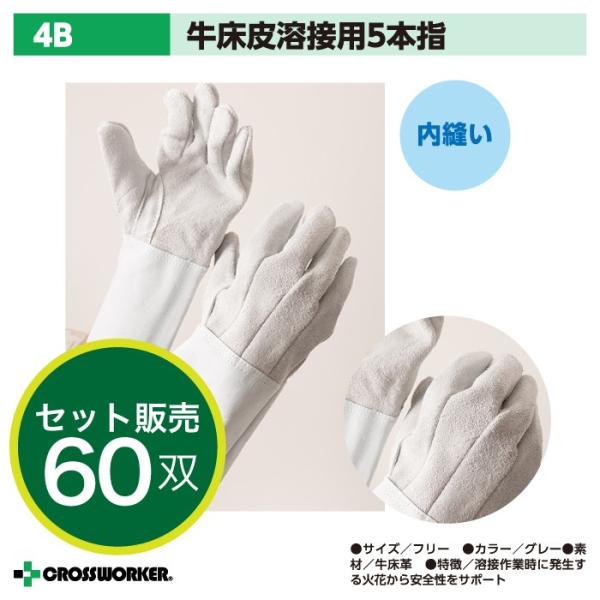 60o  v Ɨp 5{w nڗp 4B xmO[u KXnf nڗp 