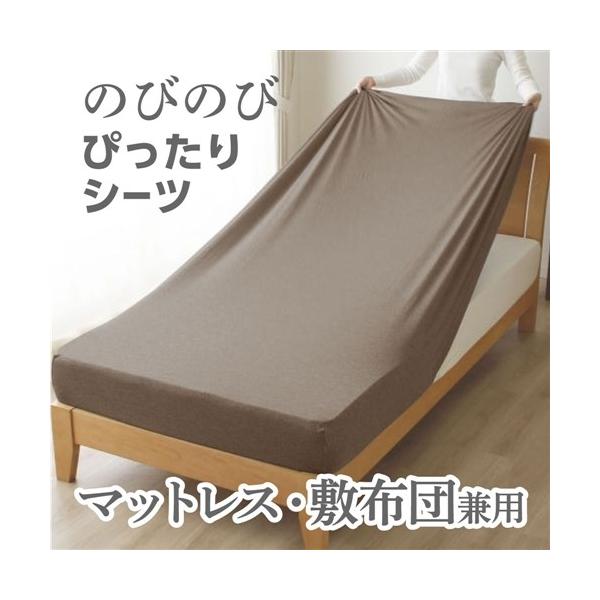 [シングル] 小栗 のびのびシーツ カチオン染めニット素材 Merry Night ブラウン PEC19101-93