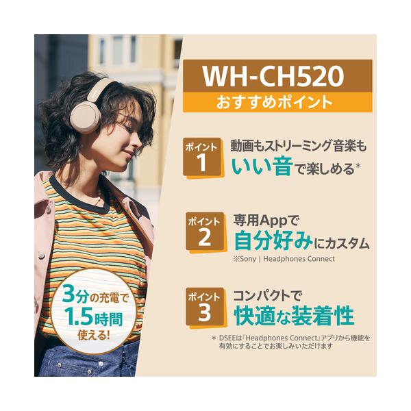 �\�j�[ WH-CH520 B ���C�����X�X�e���I�w�b�h�Z�b�g �u���b�N WHCH520 B ���i�摜2