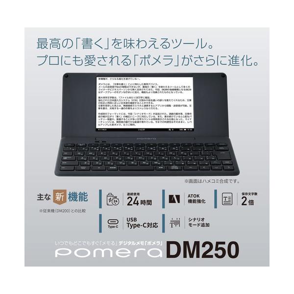 �L���O�W�� DM250�^- �f�W�^�������u�|�����v �|���� �_�[�N�O���[DM250�^ ���i�摜1
