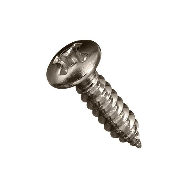 他サイト： SCUD スカッド ピックガード 用ビス TS-01NH ニッケル 12Pの商品画像