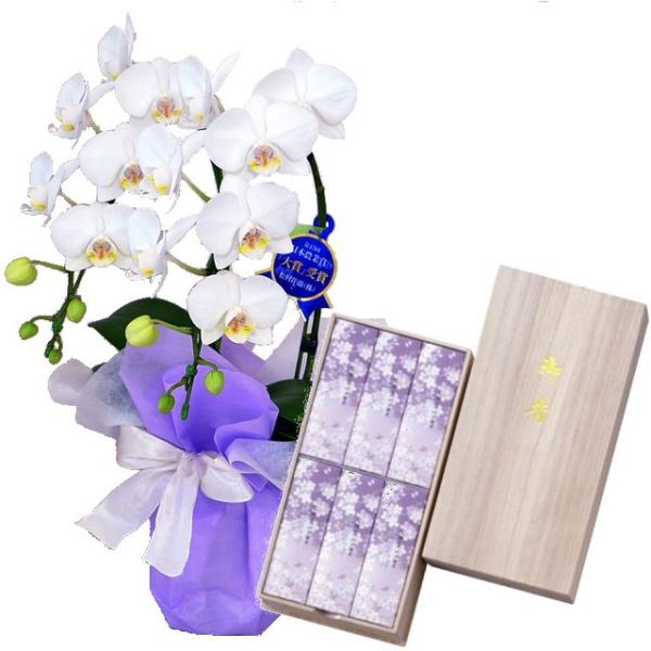 桜 生花の人気商品 通販 価格比較 価格 Com