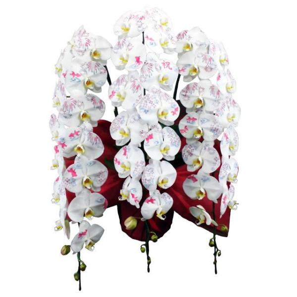 Ӓ ϗ ĕ j  3{ 36֑O ԉ΂Ƌ AWTC ⃉d