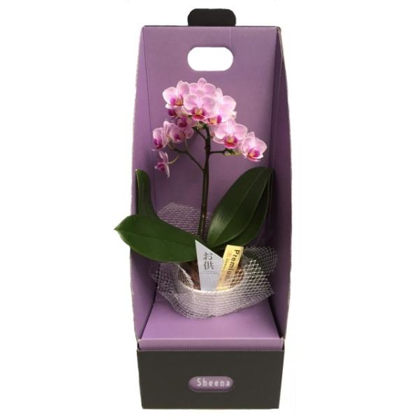 Ӓ 1{ sNn 3 dl 2WAYBOX ~j }CNӒ p {bNX