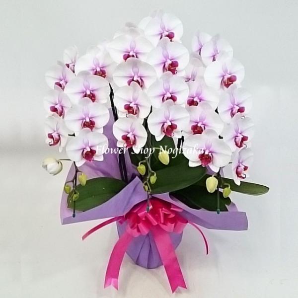 Ӓ j TNq 3{  Mtg Xcm