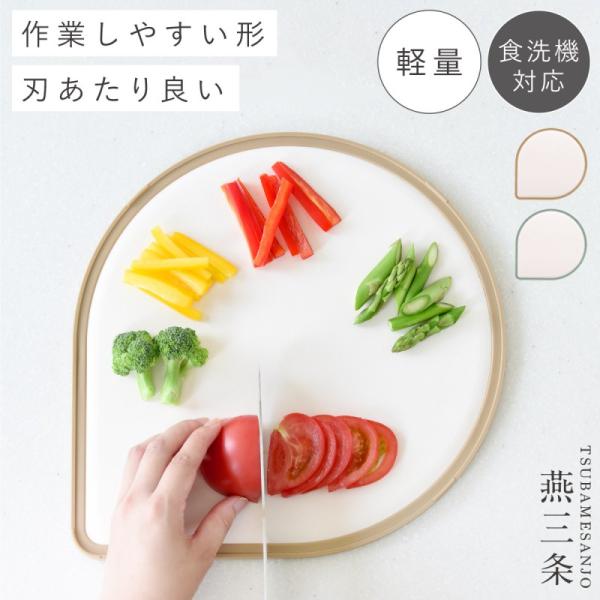 アーネスト（Arnest） まな板 日本製 食洗機対応 抗菌 フチ付き ふち