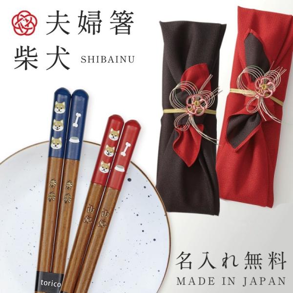 j vw yA  VZbg uC_ Mtg v[g e 蕨 蕨    { vw hV̓ җ ⍥