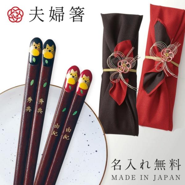 j vw yA  VZbg uC_ Mtg v[g e 蕨 蕨    { vw hV̓ җ ⍥      e